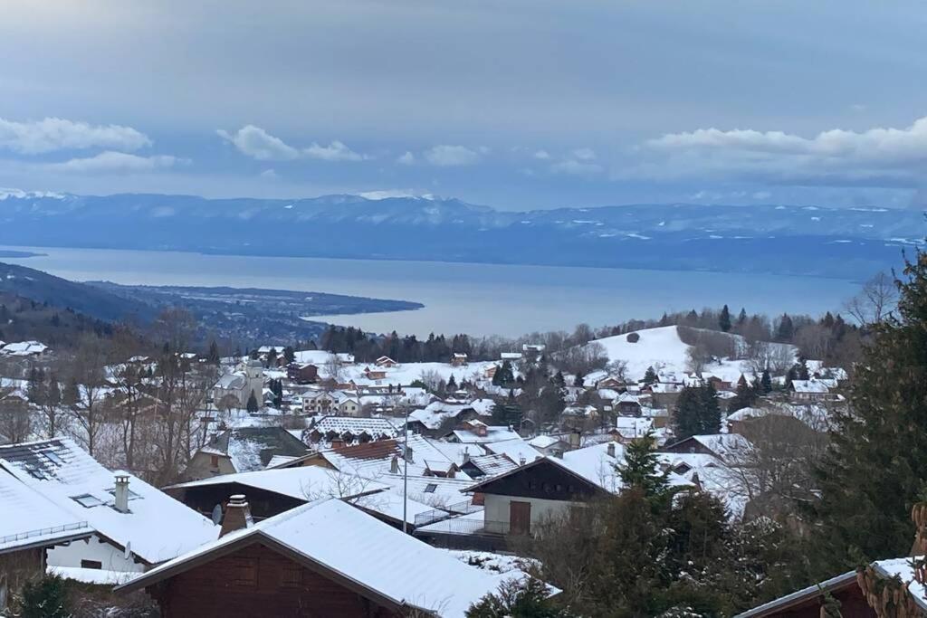 Duplex En Station Vue Sur Lac Leman Толлон Экстерьер фото