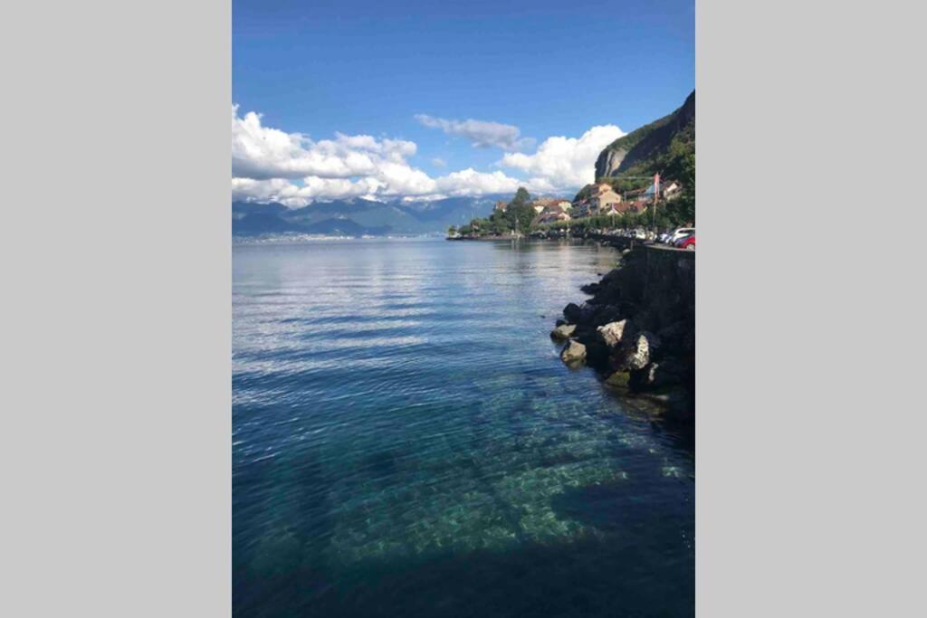 Duplex En Station Vue Sur Lac Leman Толлон Экстерьер фото