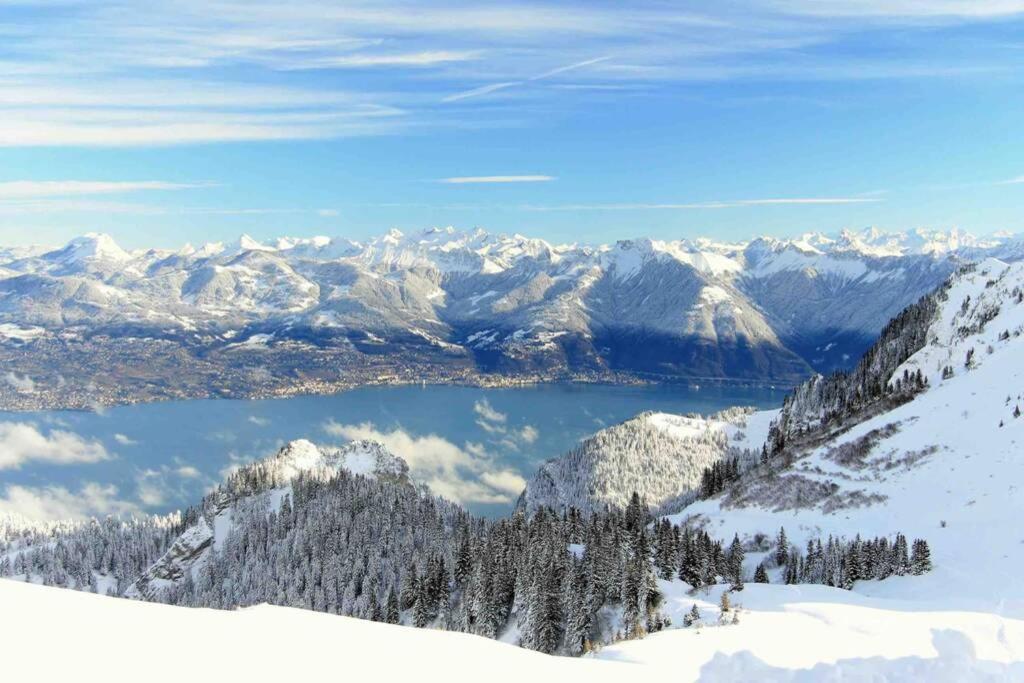 Duplex En Station Vue Sur Lac Leman Толлон Экстерьер фото