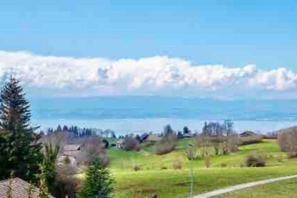 Duplex En Station Vue Sur Lac Leman Толлон Экстерьер фото