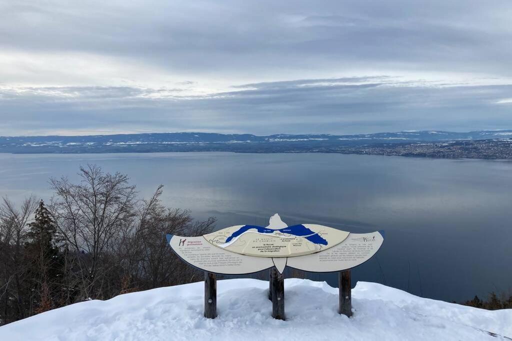 Duplex En Station Vue Sur Lac Leman Толлон Экстерьер фото