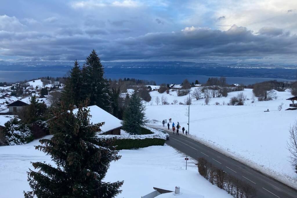 Duplex En Station Vue Sur Lac Leman Толлон Экстерьер фото
