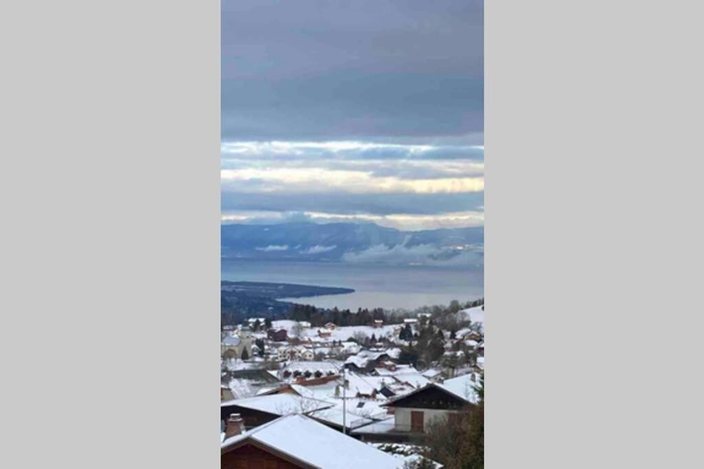 Duplex En Station Vue Sur Lac Leman Толлон Экстерьер фото