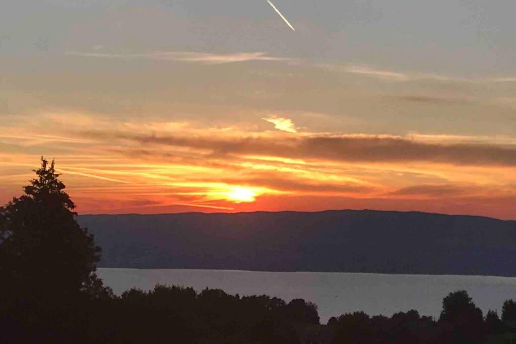Duplex En Station Vue Sur Lac Leman Толлон Экстерьер фото
