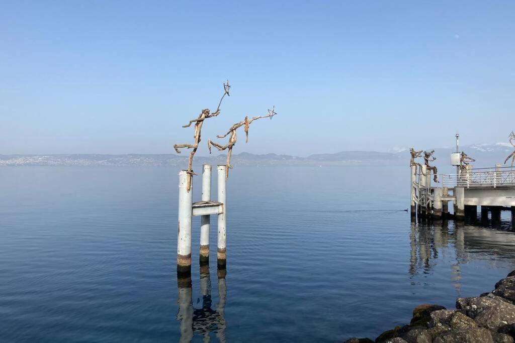Duplex En Station Vue Sur Lac Leman Толлон Экстерьер фото