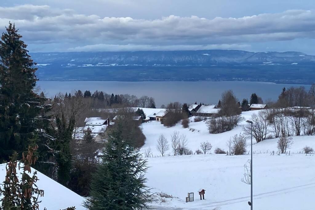 Duplex En Station Vue Sur Lac Leman Толлон Экстерьер фото